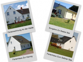 Ferienhaeuser Baaber Heide